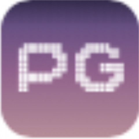 pg模拟器合集